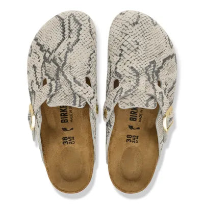 Boston snake oyster 1033086