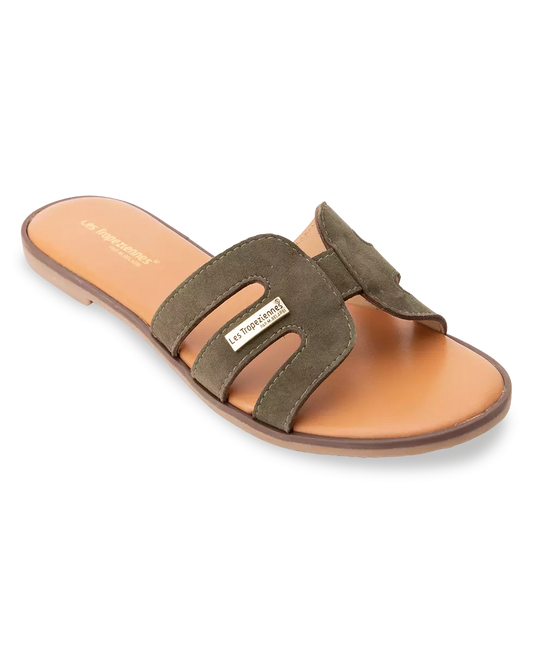 Hamiga Kaki