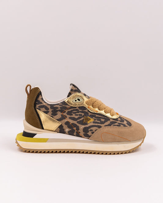 LENOX cnv leo