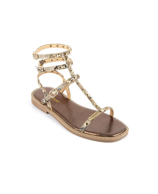 Corol Beige